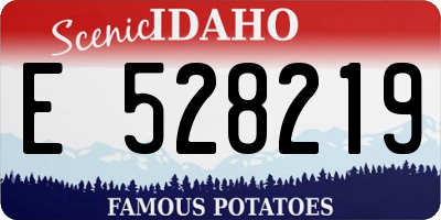 ID license plate E528219
