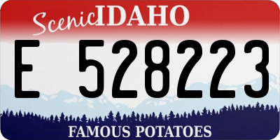 ID license plate E528223