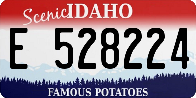 ID license plate E528224