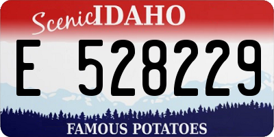 ID license plate E528229