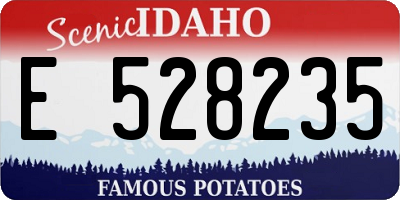 ID license plate E528235