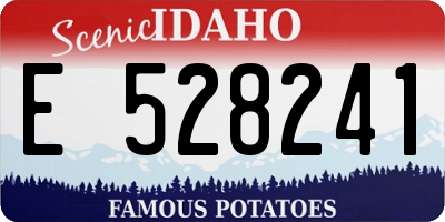 ID license plate E528241