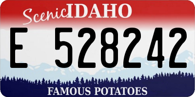 ID license plate E528242