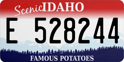 ID license plate E528244