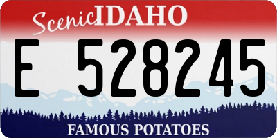 ID license plate E528245
