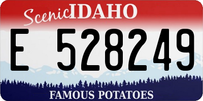 ID license plate E528249