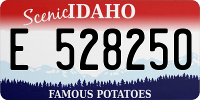 ID license plate E528250