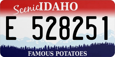 ID license plate E528251