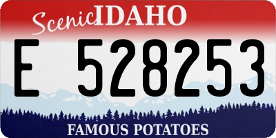 ID license plate E528253