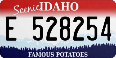 ID license plate E528254