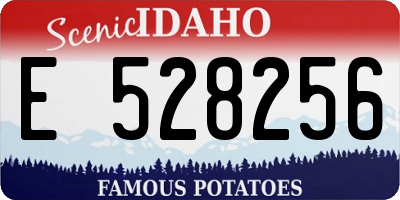 ID license plate E528256