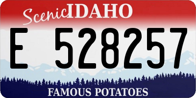 ID license plate E528257