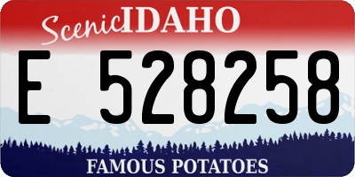 ID license plate E528258