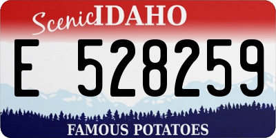 ID license plate E528259