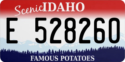 ID license plate E528260