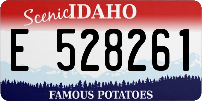 ID license plate E528261