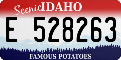 ID license plate E528263