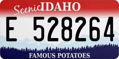 ID license plate E528264