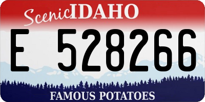 ID license plate E528266