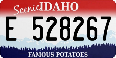ID license plate E528267