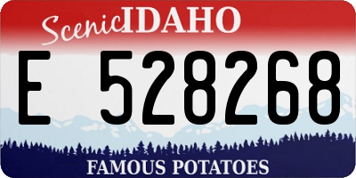 ID license plate E528268