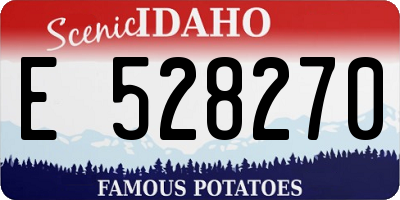ID license plate E528270