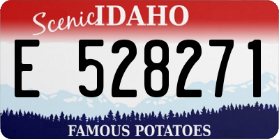 ID license plate E528271
