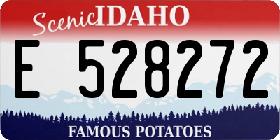 ID license plate E528272