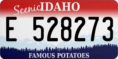 ID license plate E528273