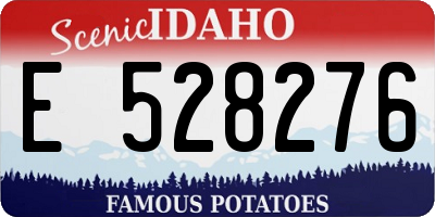 ID license plate E528276