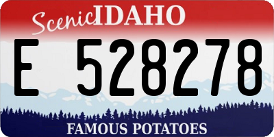 ID license plate E528278