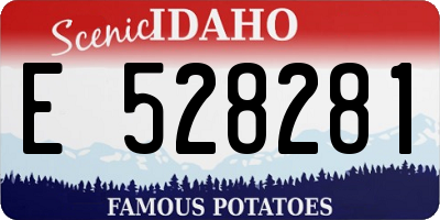 ID license plate E528281