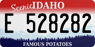ID license plate E528282