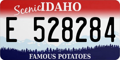 ID license plate E528284