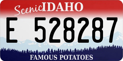 ID license plate E528287
