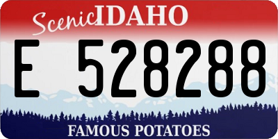 ID license plate E528288