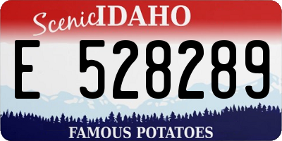 ID license plate E528289