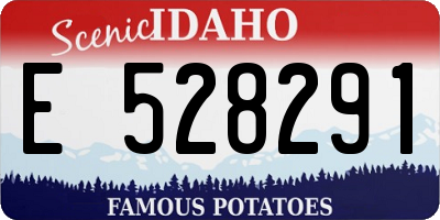 ID license plate E528291