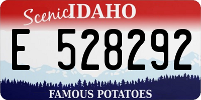ID license plate E528292