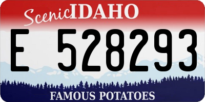 ID license plate E528293