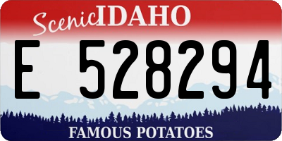 ID license plate E528294