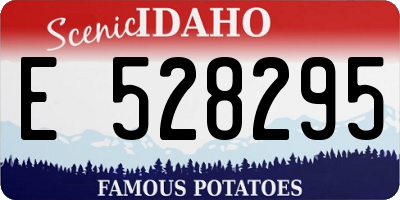 ID license plate E528295