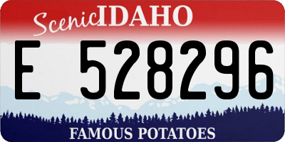 ID license plate E528296