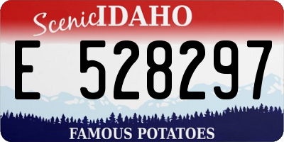 ID license plate E528297