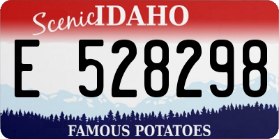 ID license plate E528298