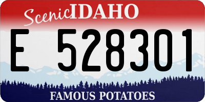 ID license plate E528301