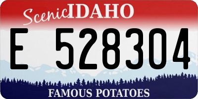 ID license plate E528304