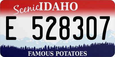 ID license plate E528307