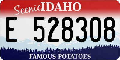 ID license plate E528308