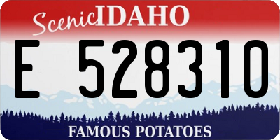ID license plate E528310